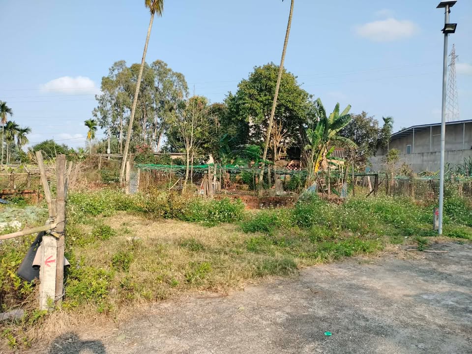 Đất nền Hòa Thọ Tây Cẩm Lệ 93m² 2.19 tỷ - Sổ hồng chính chủ