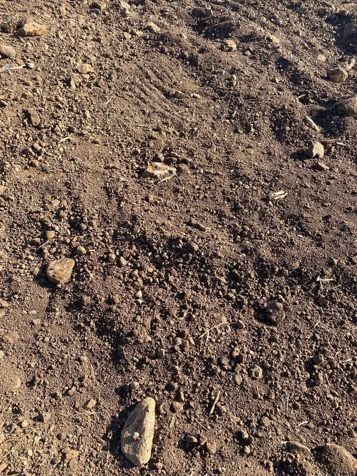 Đất Rẫy Cư M'gar 900.000m² - Giá đầu tư cực tốt!