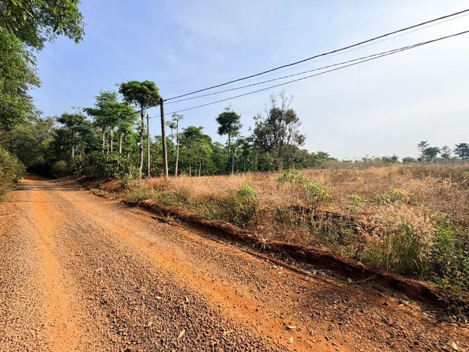 Đất nền Buôn Ma Thuột 550m² - Sổ đỏ chính chủ, giá tốt!