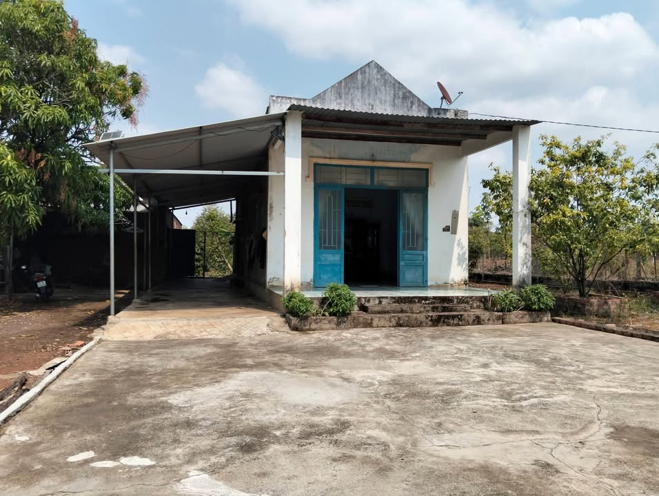 Bán gấp đất vườn 8117m² Bình Phước - Sầu riêng, cafe, tiêu - 1.7 tỷ