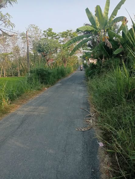 Bán Đất Mặt Tiền 2448m² - Lộ Giới Rộng 18m Tại Mỹ Xuân, Gò Công, Tiền Giang