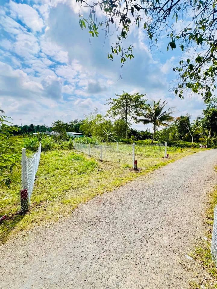 Đất nền Tam Bình, Vĩnh Long 95m² - Sổ đỏ chính chủ, giá 199 triệu