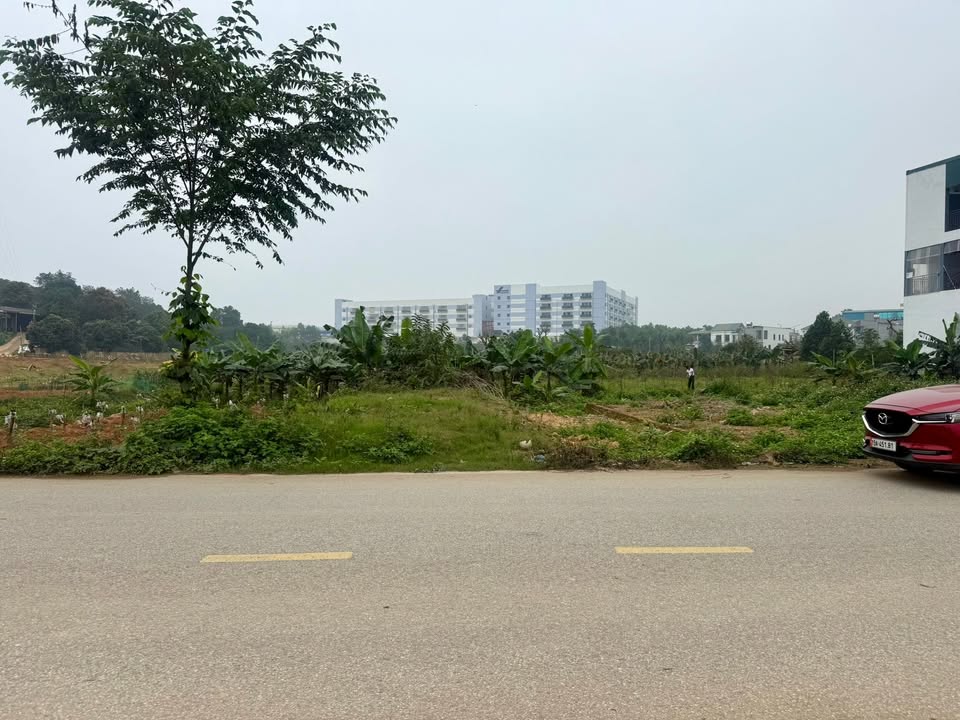 Đất Nền Phường Phú Thọ 100m² - Sổ Đỏ Chính Chủ - Đầu Tư Sinh Lời Ngay!