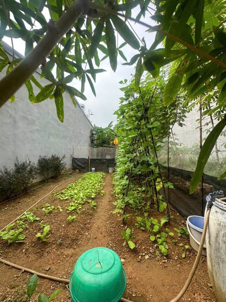 Đất nền Việt Trì 78m² giá 1.7 tỷ - Xây dựng tự do!