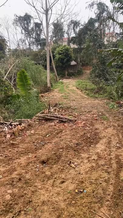 Đất nền Vân Phú, Việt Trì 1.1ha giá 1 tỷ - Pháp lý rõ ràng