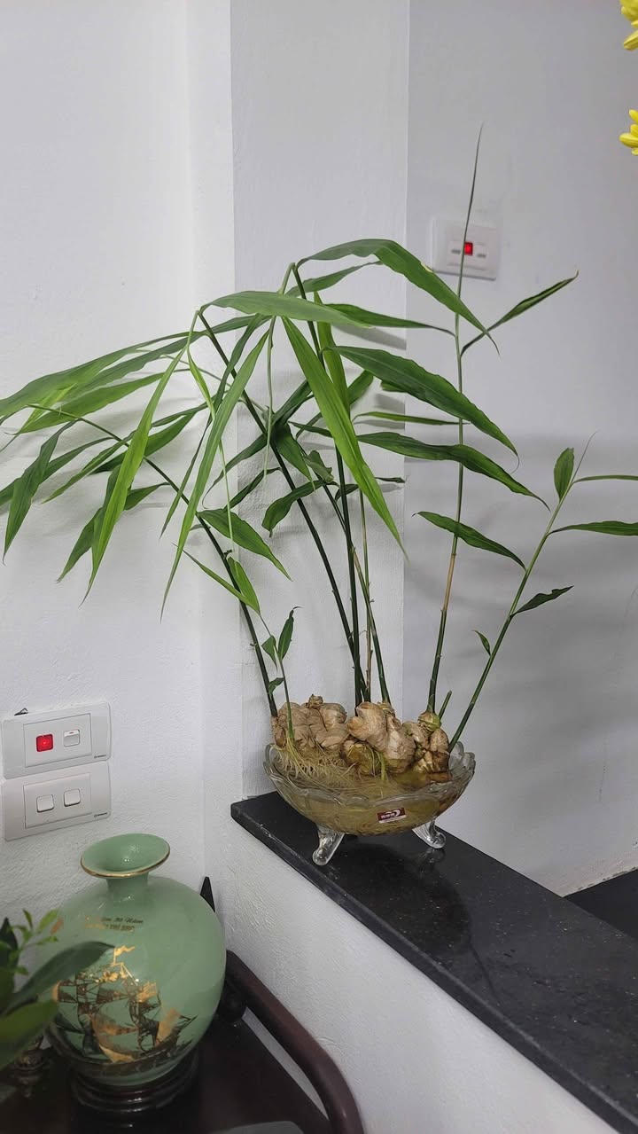 Bán nhà Xuân Đỉnh Bắc Từ Liêm 34m² 6 tầng - Full nội thất ở ngay!