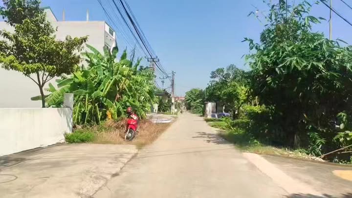 Đất nền Cổ Bì, Bình Giang 85m² - Tiềm năng tăng giá vượt trội!
