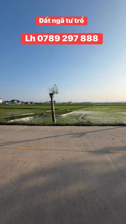 Đất nền Hà Tĩnh 200m² - Tặng Vàng Khai Xuân, Vị Trí Ngã Tư Đắc Địa