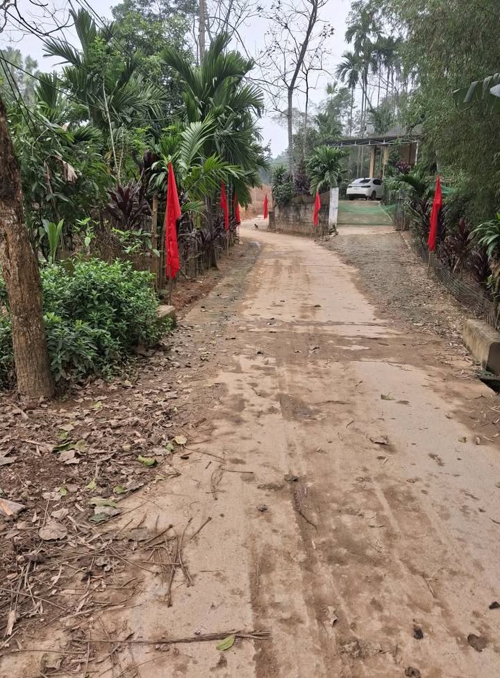 Đất vườn Thôn Tuy Lộc, Yên Bái 385m² Giá đầu tư tốt