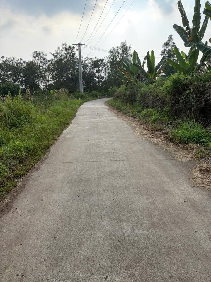 Đất Sào Vàng Xã Phú Hòa, Định Quán - 1172m² - Sẵn Sàng Đầu Tư