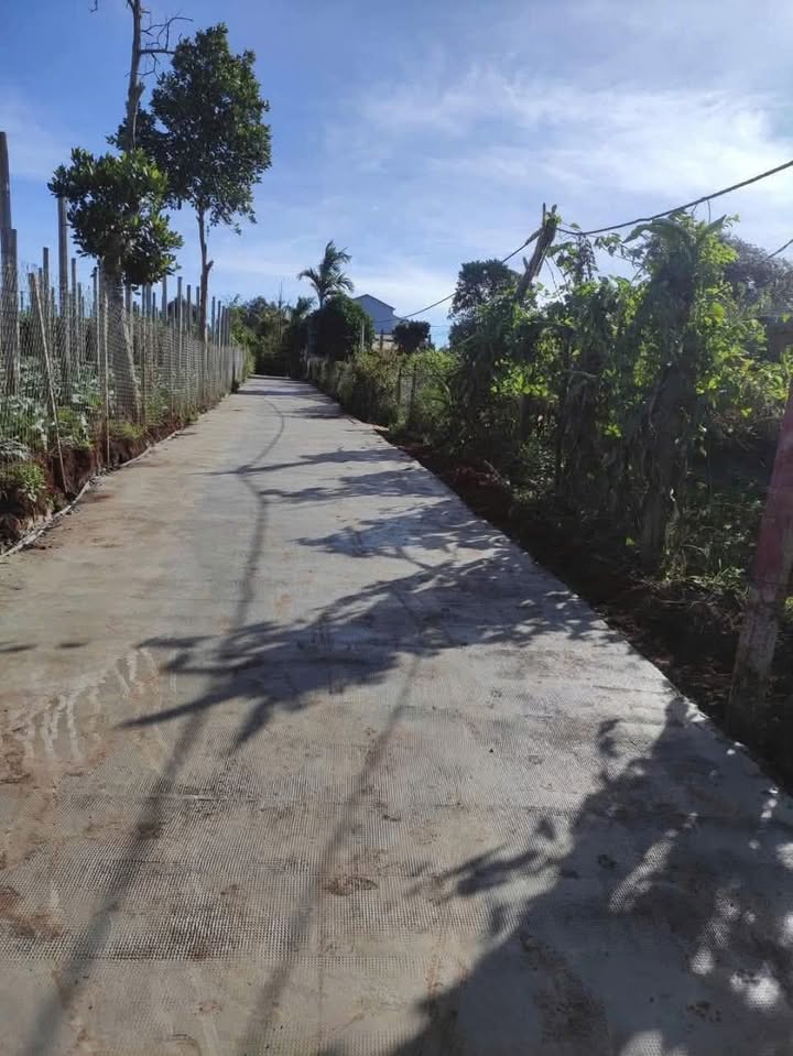 Bán Gấp 10m² Đất Thị Trấn Tân Bình, Đak Đoa - Chỉ 660 Triệu