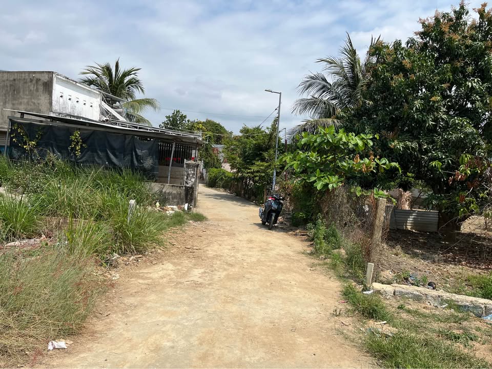 Đất Nền Võ Cạnh Nha Trang 90-100m² - Sổ Đỏ Thổ Cư Sẵn Sàng