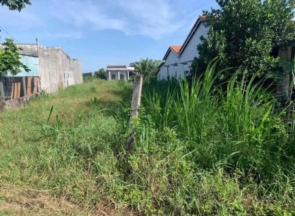 Đất nền Phường 5, Tân An 360m² – Tiềm năng tăng giá vượt trội!