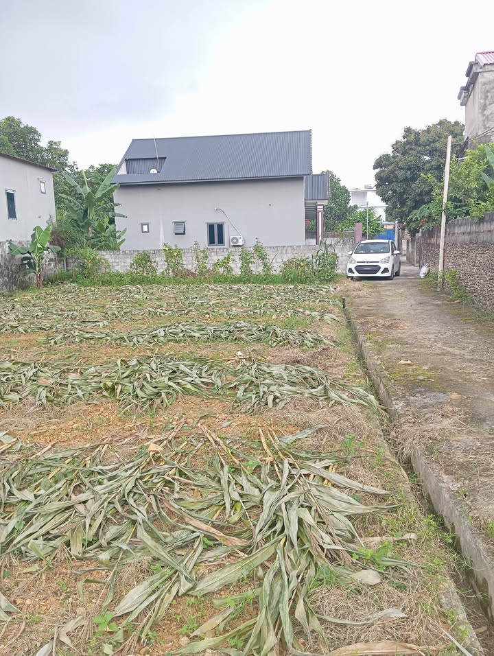 Đất nền Xã Vạn Phú, Đại Từ 300m² - Sổ đỏ chính chủ