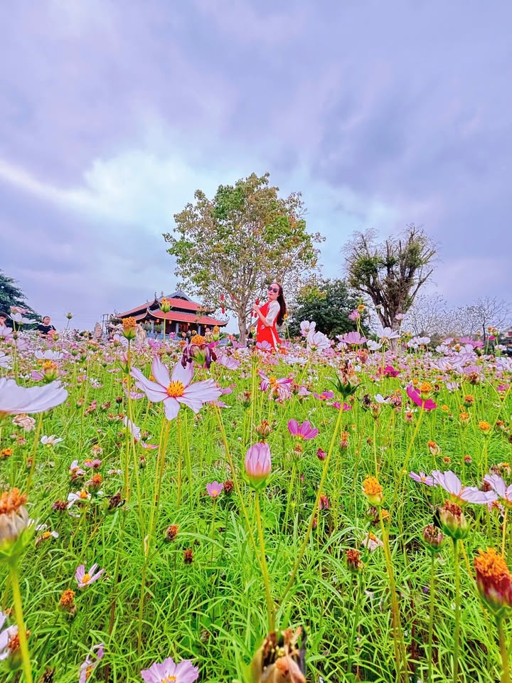 Đất Phủ Lý 62m² - Cắt Lỗ Sâu, Giá Chỉ 1.2 Tỷ, Sổ Đỏ Sẵn Sàng