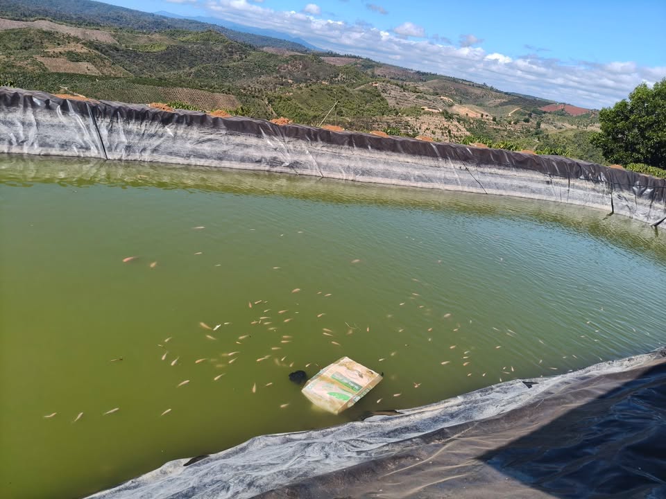 Bán Đất Quảng Phú 13000m² - Sổ Đỏ, Mặt Đường, Giá 1.7 Tỷ