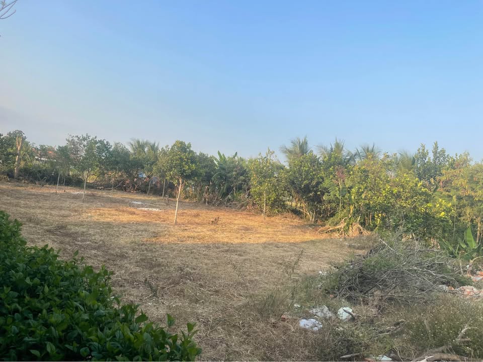 Đất Vườn Phú Sơn Ninh Hòa 1.2 Tỷ - Tiềm Năng Tăng Giá Vượt Trội!