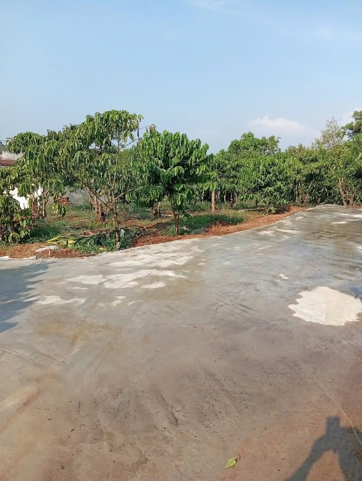 Bán Đất Vườn 14400m² Xã Hòa Ninh, Di Linh - Giá 2.85 Tỷ