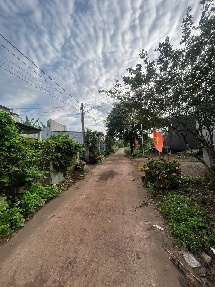 Nhà riêng Xuân Phú, Xuân Lộc 252m² - Sổ hồng sẵn, giá chỉ 1.2 tỷ!