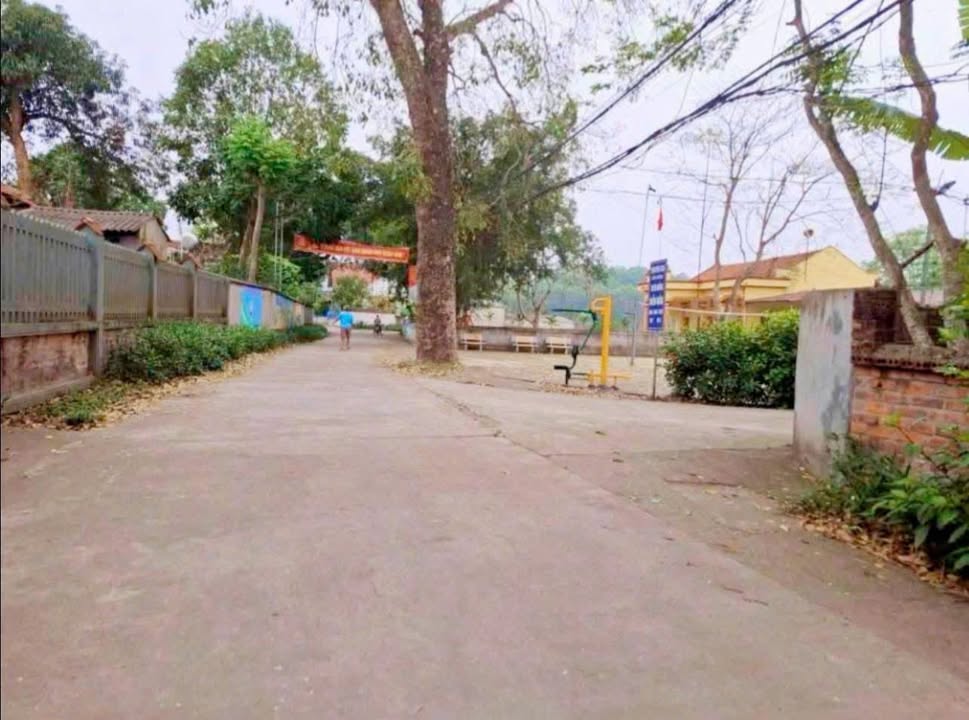 Đất nền Tam Sơn Sông Lô 115m² giá 500 triệu - Giá tốt hiếm có!