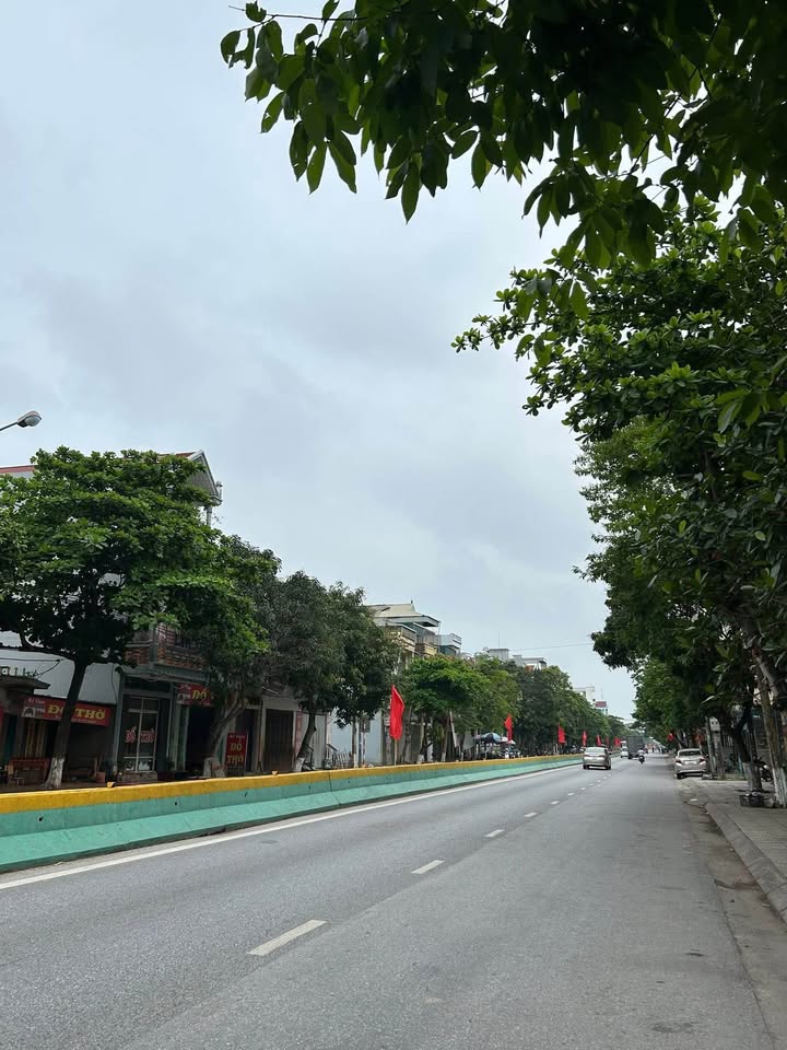 Đất Mặt Tiền Long Hưng, Hưng Hà - 52.8m² Kinh Doanh Sầm Uất, Giá 2 Tỷ