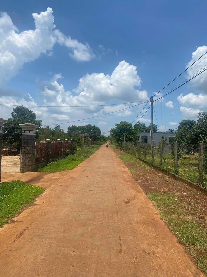 Đất Vàng Krông Năng: 620m² Sổ Đỏ, Cách Chợ Phú Xuân 500m