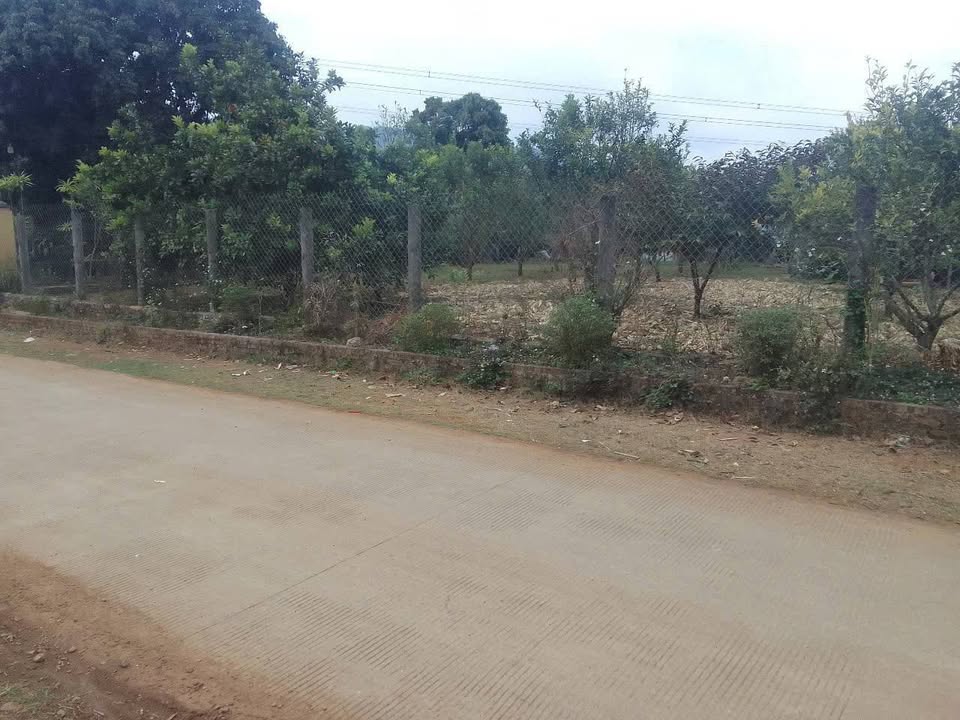 Bán đất Mường Thàng Phú Thọ 400m² - Sổ đỏ chính chủ