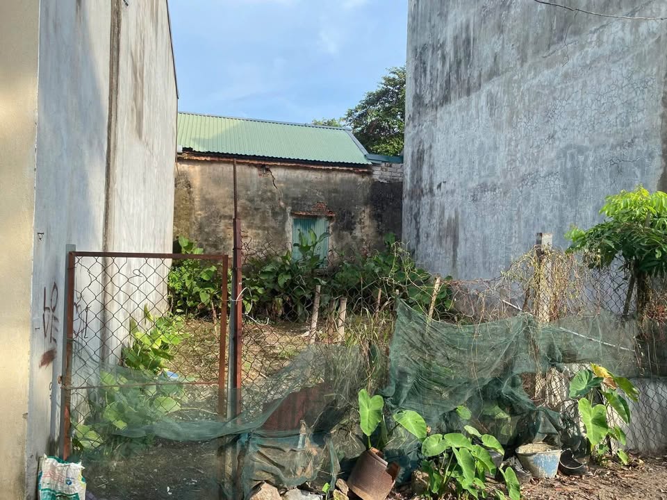 Đất nền Thọ Xuân 45m² giá 1.3 tỷ - Đường ô tô, sổ đỏ chính chủ