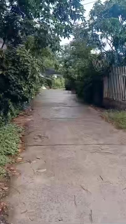 Đất vườn Xã Hòa Bình, Chợ Mới 6880m² - Sinh thái xanh, nghỉ dưỡng lý tưởng!