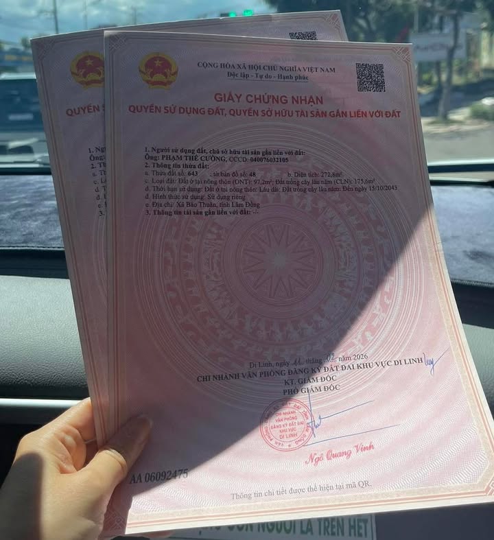 Đất Thổ Cư Di Linh 280m² - Giá Đầu Năm 568 Triệu/Lô