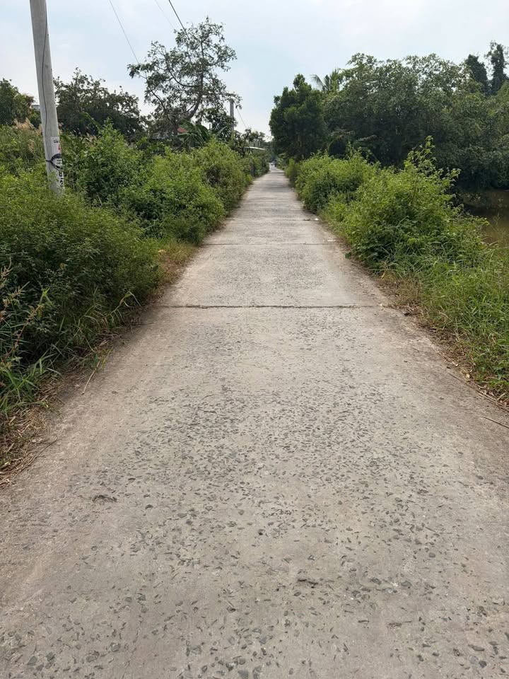 Bán Đất MT Đường Đan 330m² Ngang 10m - Lai Vung, Đồng Tháp - Giá Tốt