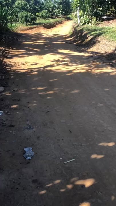 Đất nền Đinh Trang Hòa, Di Linh 10800m² - Tiềm năng tăng giá!