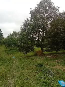 Đất nền Ea Kar 3.4ha - Sổ hồng sẵn, tiềm năng sinh lời vượt trội!