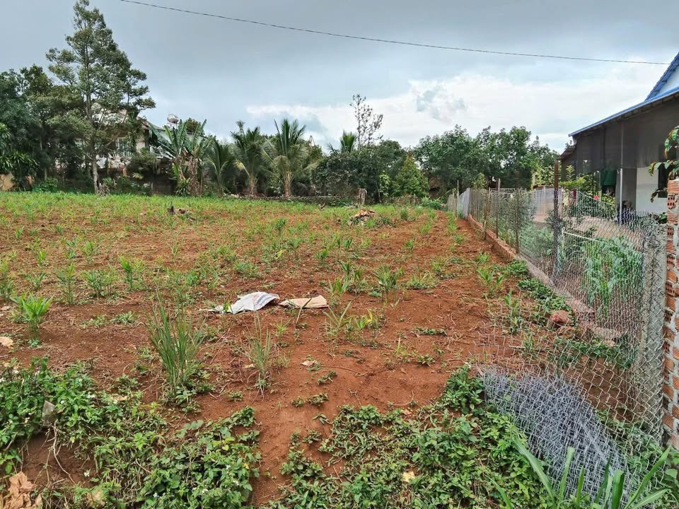 Đất nền Đắk Mil 400m² giá 1.45 tỷ - Thổ cư 100% xây dựng ngay