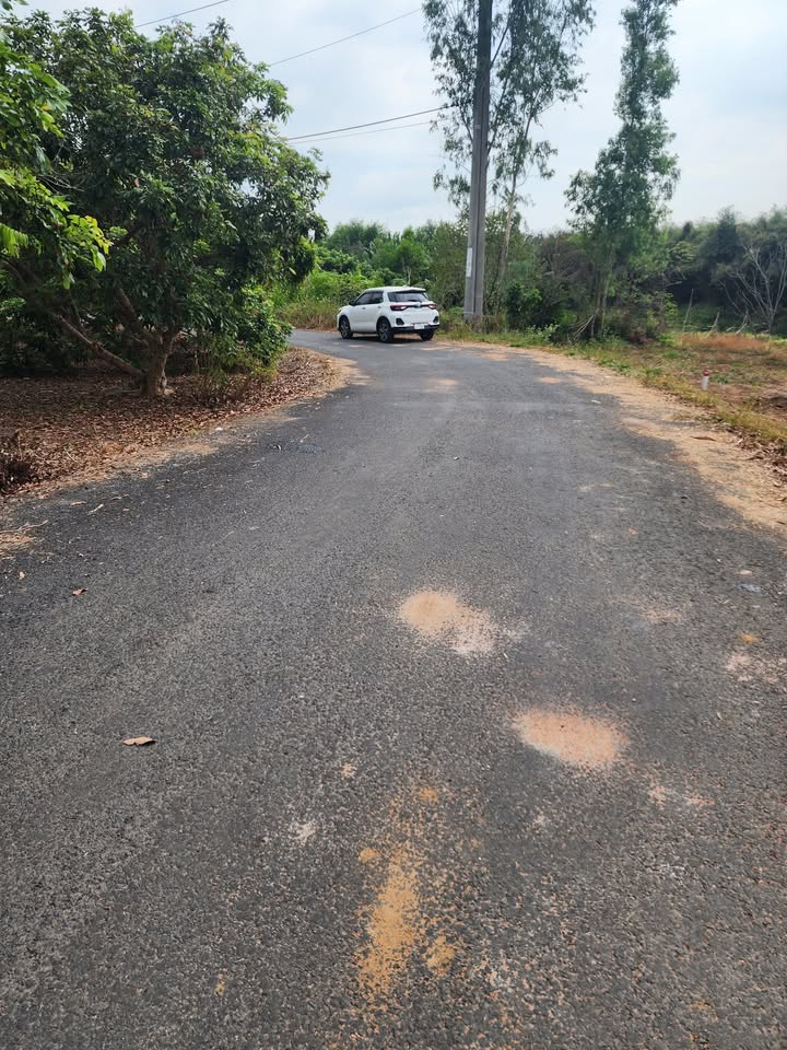 Đất nền Xuyên Mộc 568m² giá 1.35 tỷ - Sổ đỏ chính chủ!