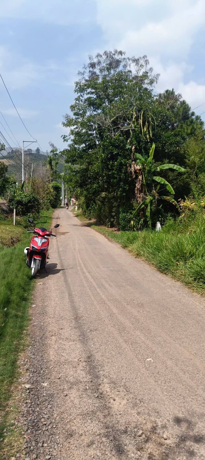 Đất nền Bảo Lâm, Lâm Đồng 2500m² - Sẵn Sổ Thổ Cư, Giá 650 Triệu/Lô