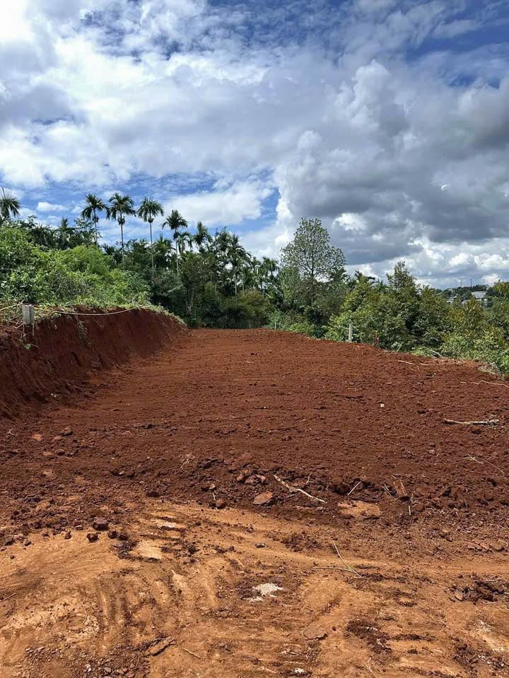 Đất Vườn Đắk Lắk - 500m² Hướng Đông Giá 1.6 Tỷ - Sẵn Sổ Đỏ