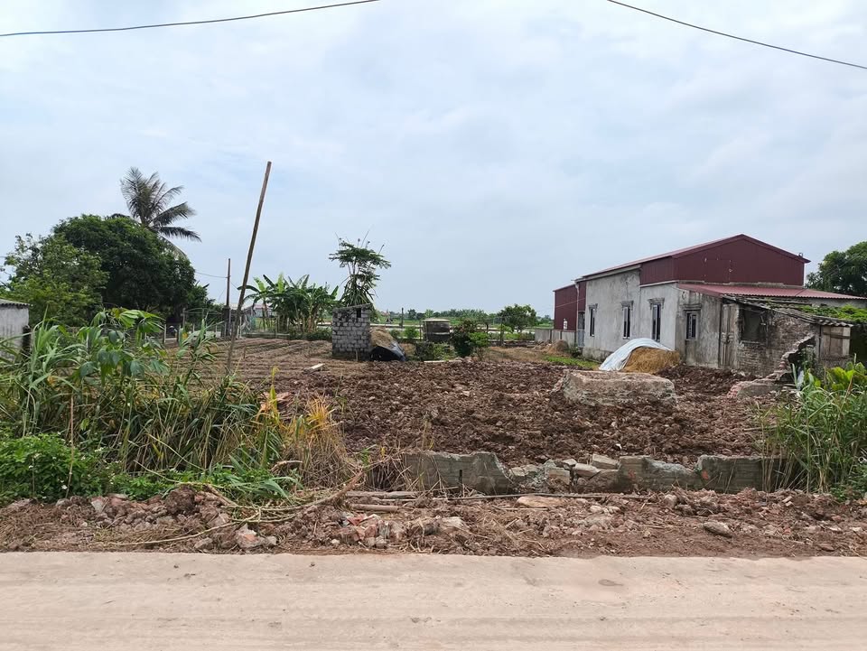 Đất Vàng Xóm 7 Nam Điền, Nghĩa Hưng - 198m² Sổ Đỏ, Kinh Doanh Đắc Lộc