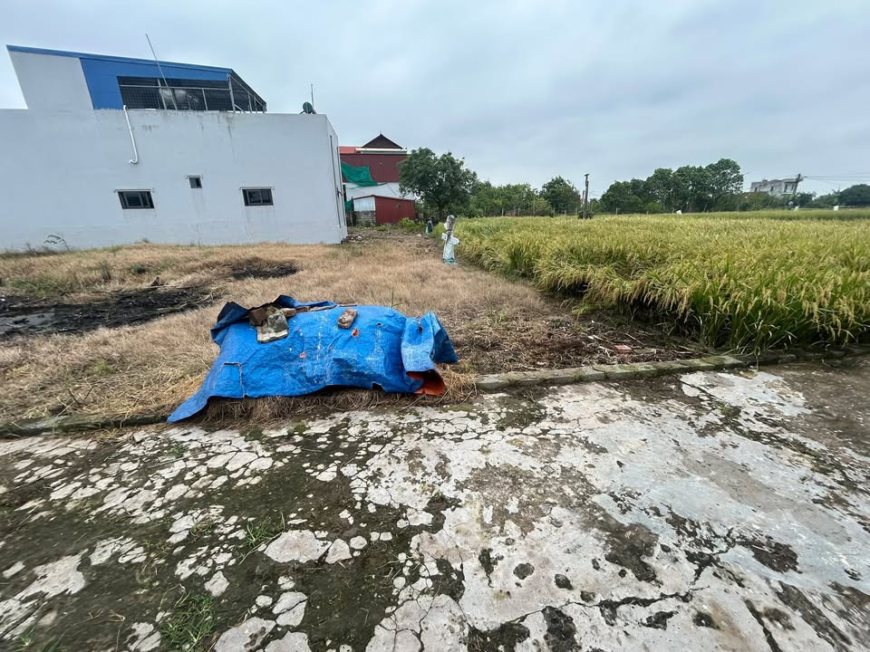 Đất Nền Nghĩa Hưng, Nam Định - 100m² Giá Tốt, Ô Tô Tới Nơi