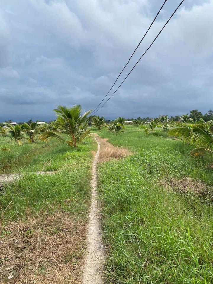 Đất vườn Châu Thành 3500m² - Sinh thái xanh, tiềm năng đầu tư!