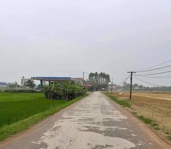 Đất nền Lạng Giang 90m² mặt Tỉnh lộ 268 - Pháp lý rõ ràng!