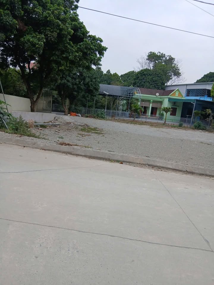 Đất Vàng 288m² Mặt Tiền Lý Quốc Sư, Tam Điệp - Sổ Đỏ Thổ Cư Sẵn Sàng