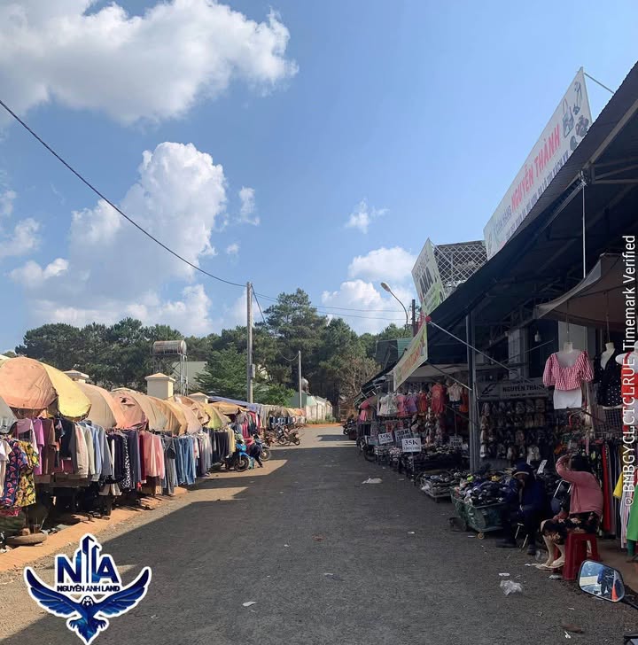 Nhà phố lô góc Pleiku 140m² - Vị trí đắc địa kinh doanh ngay!