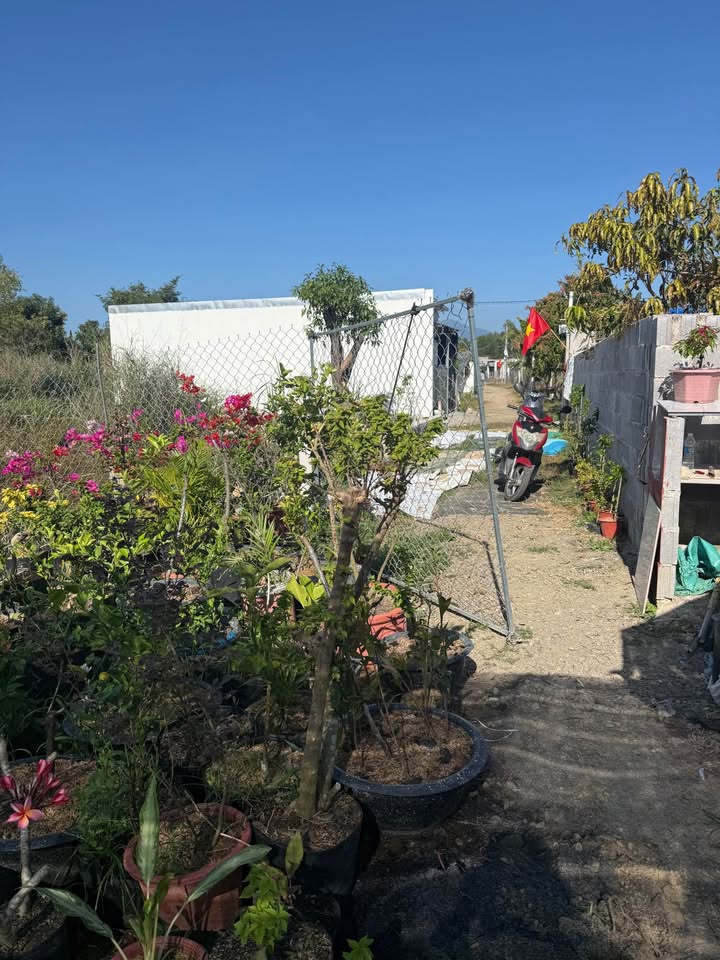 Đất nền Diên Khánh 91m² - Sổ đỏ thổ cư, giá chỉ 399 triệu