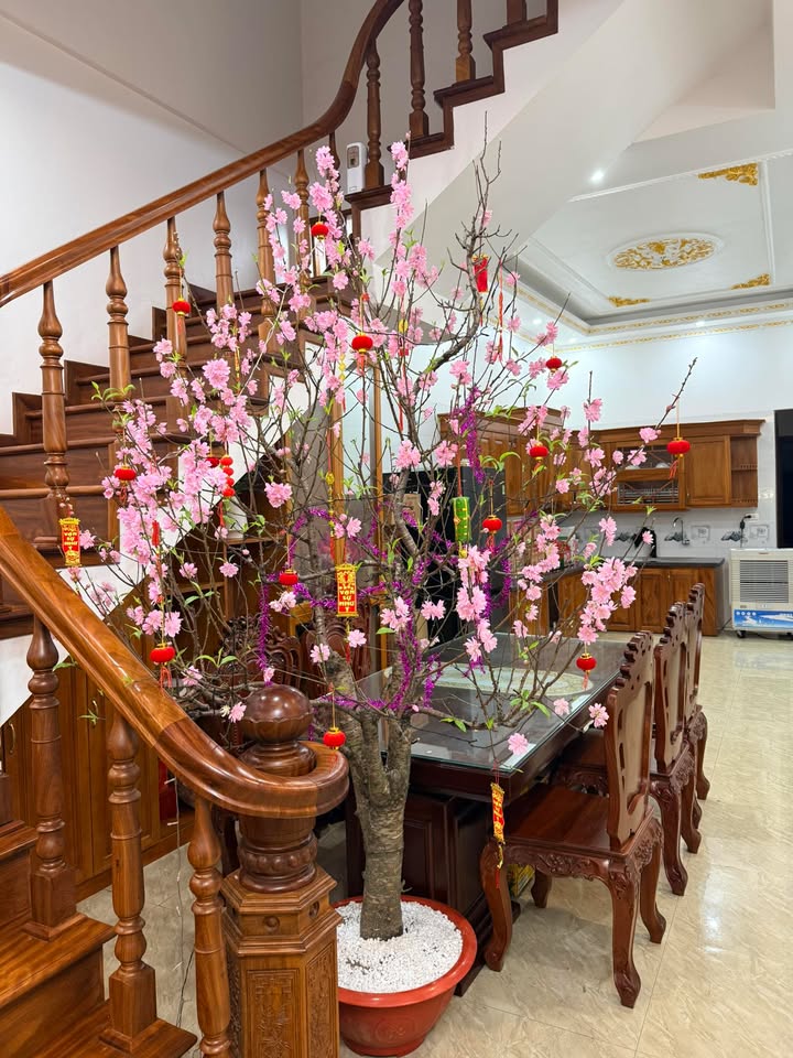 Đất nền Thành phố Tam Điệp 82m² - Đất thổ cư 100%, ô tô vào tận nơi!