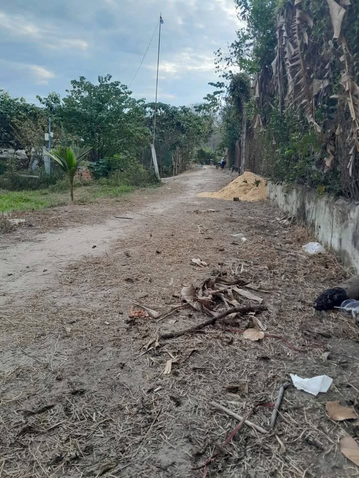 Đất Gia Tiến Gia Lộc 510m² 600 triệu - Xây dựng tự do