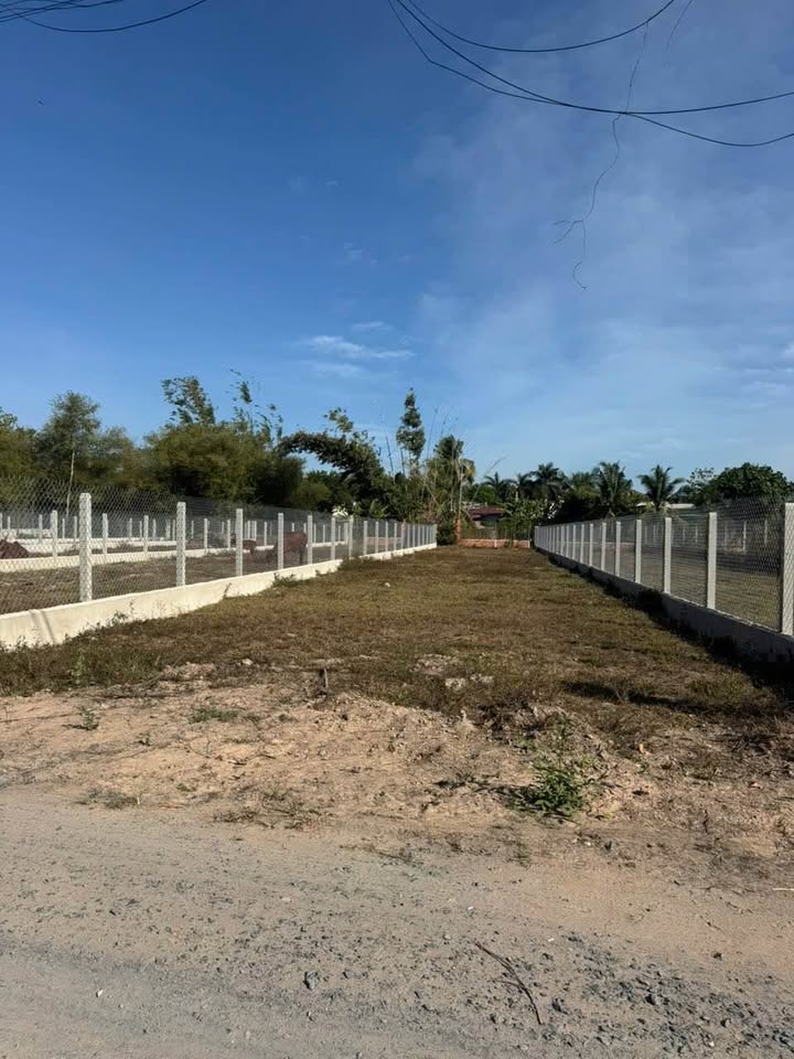 Đất nền Long Vĩnh 480m² Tây Ninh - Sổ đỏ chính chủ!