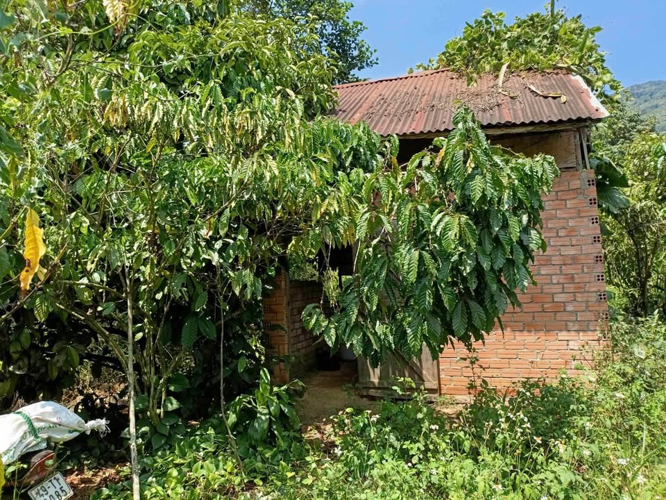 Đất nền Lộc Thanh Bảo Lộc 1.670m² 2.6 tỷ - Sổ đỏ chính chủ