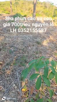 Đất vườn Ea Pô Cư Jút 3ha giá 700 triệu - Giá đầu tư tốt!