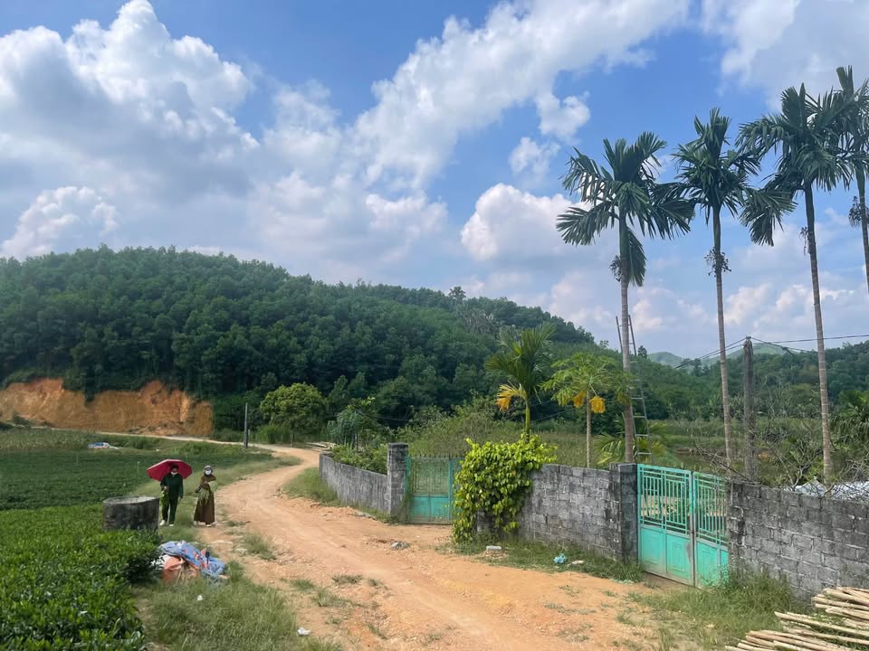 Đất Nền 2ha Vô Tranh, Phú Lương - Sổ Đỏ Rõ Ràng, Giá Đầu Tư